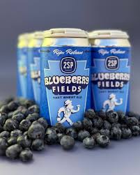 【 2SP 】 Blueberry Fields 355ml CAN